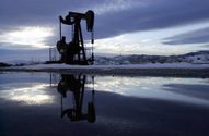 Мир может выдержать уменьшение объемов поставок нефти из России: в МЭА назвали ключевые факторы