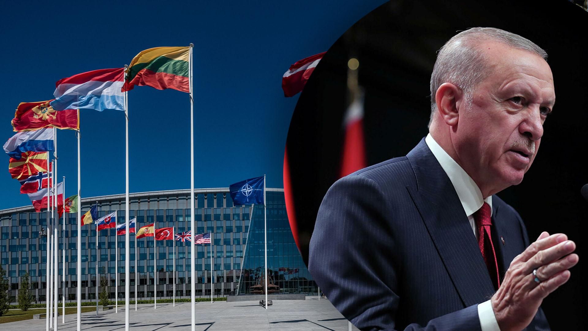 Фінляндія та Швеція відреагували на заяву Ердогана проти їхнього вступу до НАТО Фінляндія та Швеція відреагували на заяву Ердогана проти їхнього вступу до НАТО