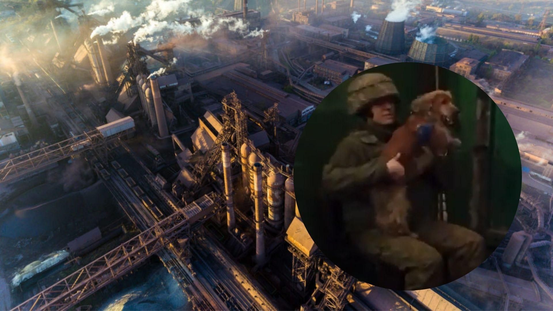 Пограничница из "Азовстали" похвасталась своей четырехлапой напарницей Соней: милое видео Пограничница из "Азовстали" похвасталась своей четырехлапой напарницей Соней: милое видео