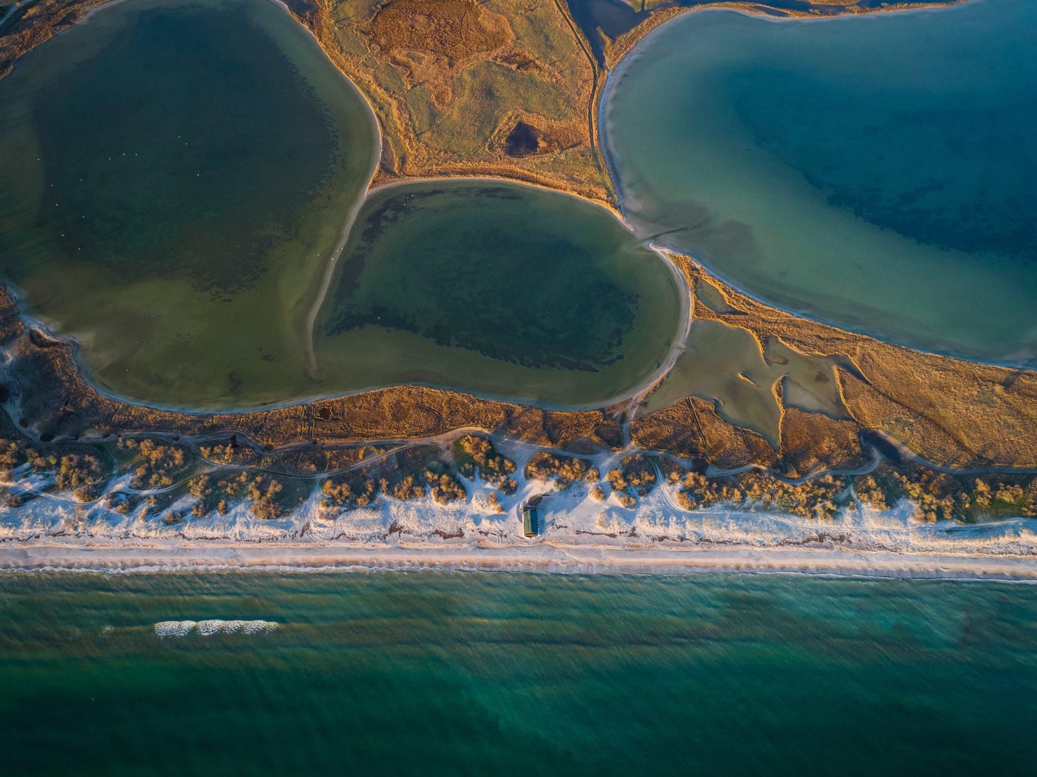 Российские военные уничтожают уникальную заповедную Кинбурнскую косу Российские военные уничтожают уникальную заповедную Кинбурнскую косу