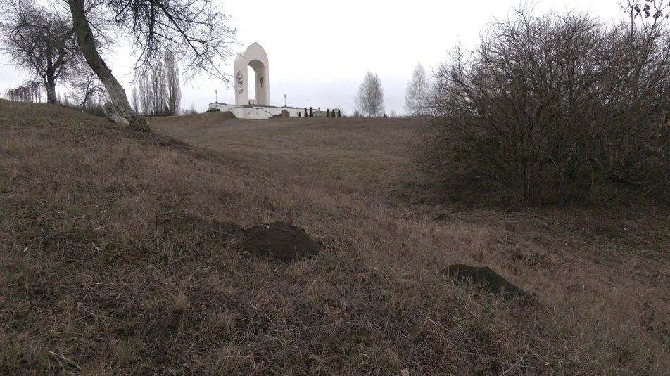 Дробокский овраг Дробокский овраг