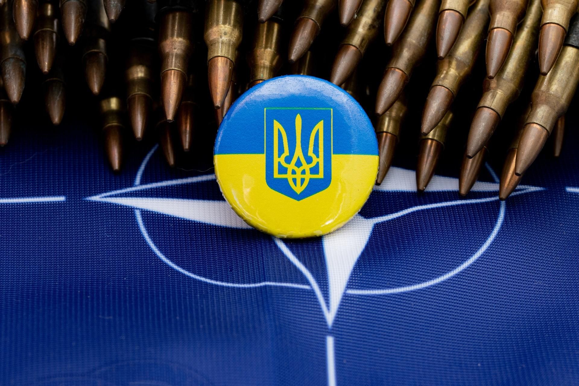 В США считают, что Украина может "обойти" ПДЧ по пути в НАТО, как Финляндия и Швеция
