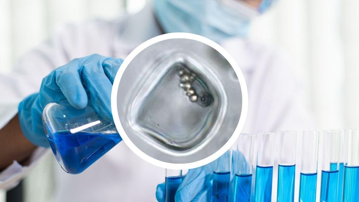 У кристалі віком 830 мільйонів років виявили потенційно живий організм - Техно У кристалі віком 830 мільйонів років виявили потенційно живий організм - Техно