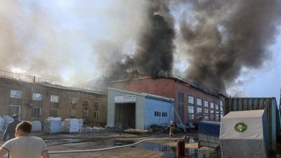 В Новосибирской области России загорелся завод: видео масштабного пожара