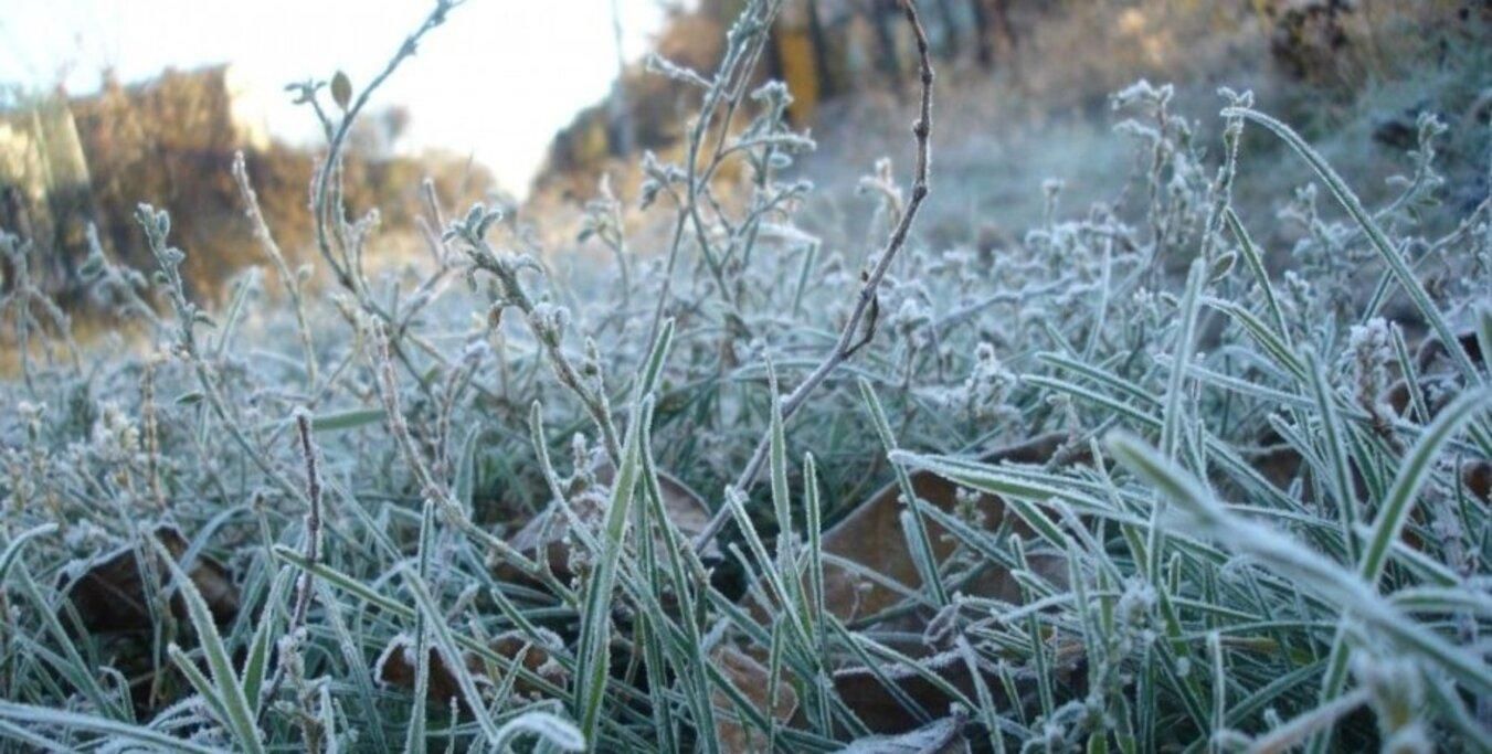 На Буковине прогнозируют экстремальные заморозки