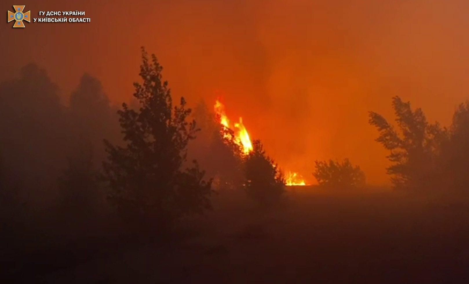 Біля Чорнобиля спалахнули потужні лісові пожежі: запах гару дістався Києва