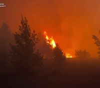 В Киевской области вспыхнули мощные лесные пожары: запах гари добрался до столицы