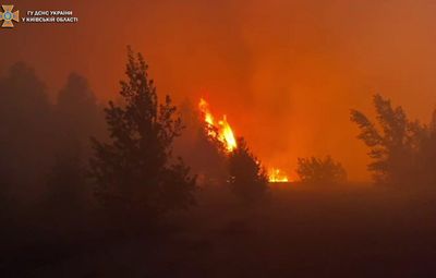 В Киевской области вспыхнули мощные лесные пожары: запах гари добрался до столицы