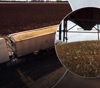 США та Європа розробляють маршрути для вивозу українського зерна