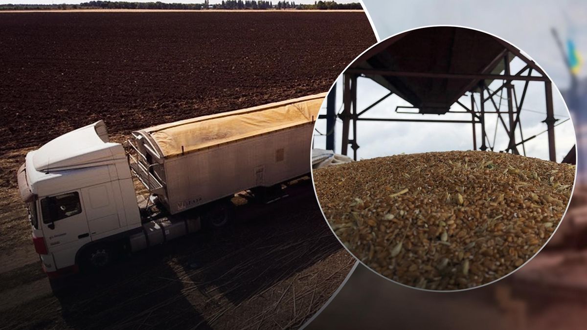 США и Европа разрабатывают маршруты для вывоза украинского зерна