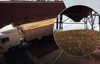 США и Европа разрабатывают маршруты для вывоза украинского зерна