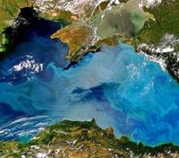 Откуда растут ноги у российского мифа о "выкопанном украинцами Черном море"