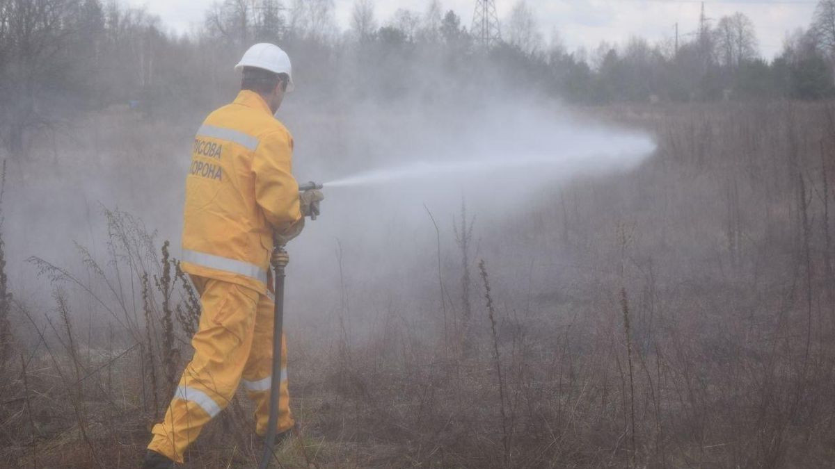 В Чернобыльской зоне снова пылает: дым может пойти на Киев и Вышгород