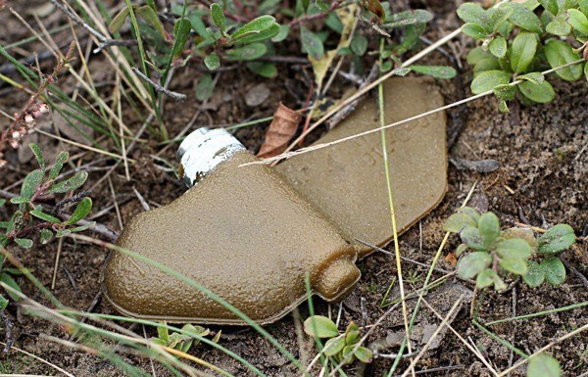 Двоє чоловіків підірвалися на міні росіян у полі на Київщині Двоє чоловіків підірвалися на міні росіян у полі на Київщині