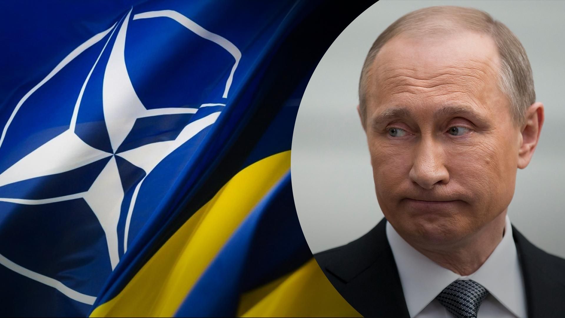 Вступ України до НАТО зменшить ризики ядерної війни, – посол