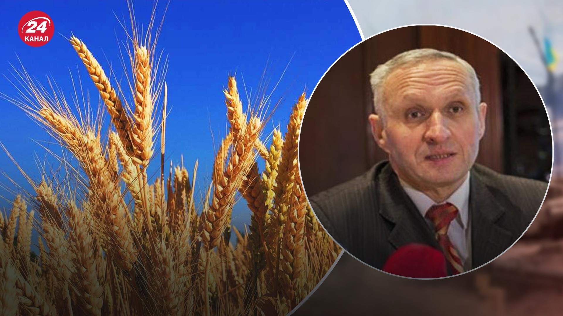 2023 рік може бути дуже жорстоким, – Томич про загрози для світу через нестачу зерна 2023 рік може бути дуже жорстоким, – Томич про загрози для світу через нестачу зерна