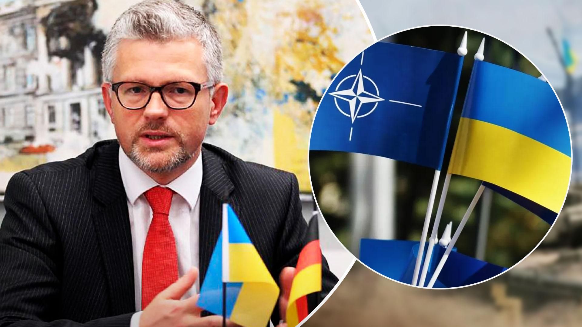 Посол в Германии предположил, что Украина станет членом НАТО сразу после войны