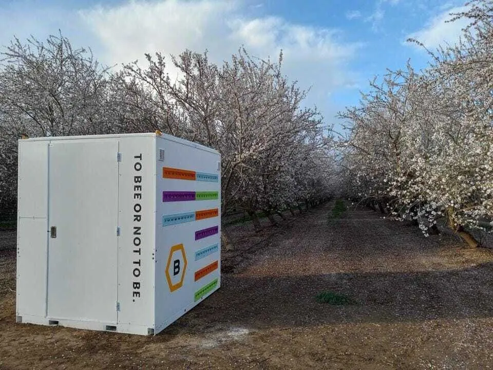 Умный улей Beehome Умный улей Beehome