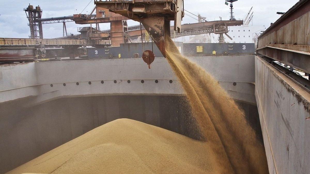 Джонсон и Эрдоган решили добиться разблокирования поставок зерна из Украины