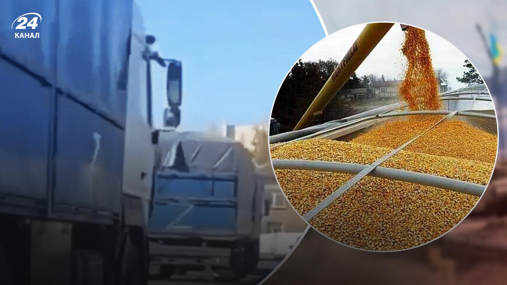 Окупанти вивезли вже 300 тонн зерна із Запорізької області, – ОВА