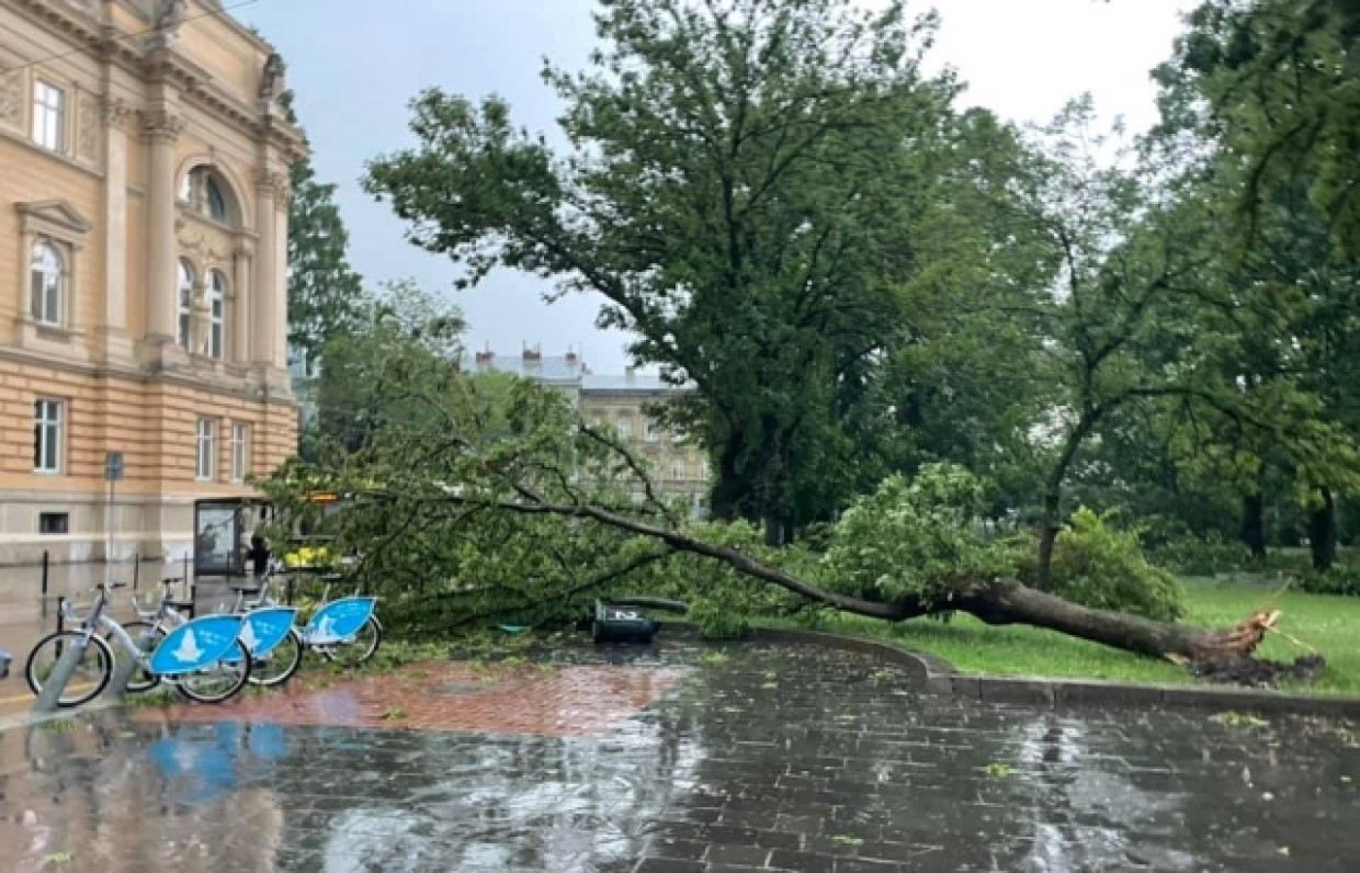На Львовщину надвигается непогода: жителей предупреждают об опасности На Львовщину надвигается непогода: жителей предупреждают об опасности