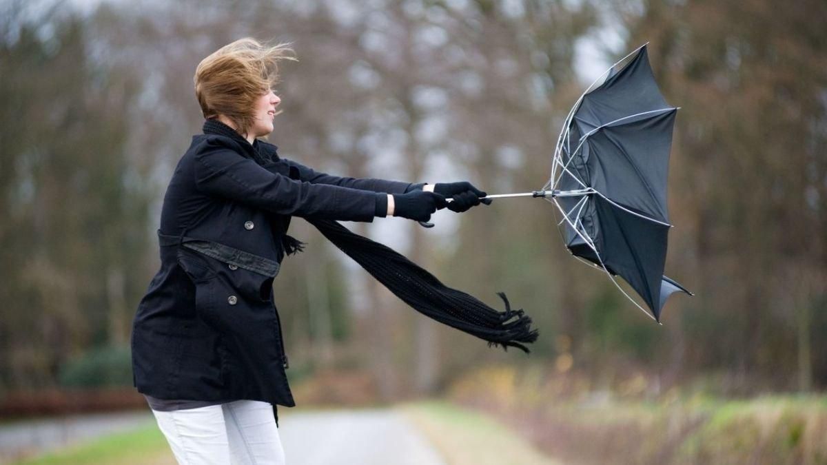 Сильный ветер, похолодание, пожарная опасность и местами грозы: прогноз погоды на 22 мая Сильный ветер, похолодание, пожарная опасность и местами грозы: прогноз погоды на 22 мая