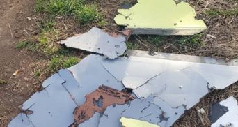Українська авіація знищила дві російські системи "Солнцепек" і три крилаті ракети