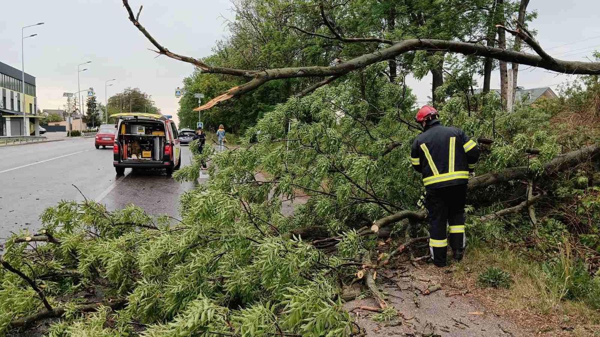На Вінниччині через ураганний вітер падали дерева