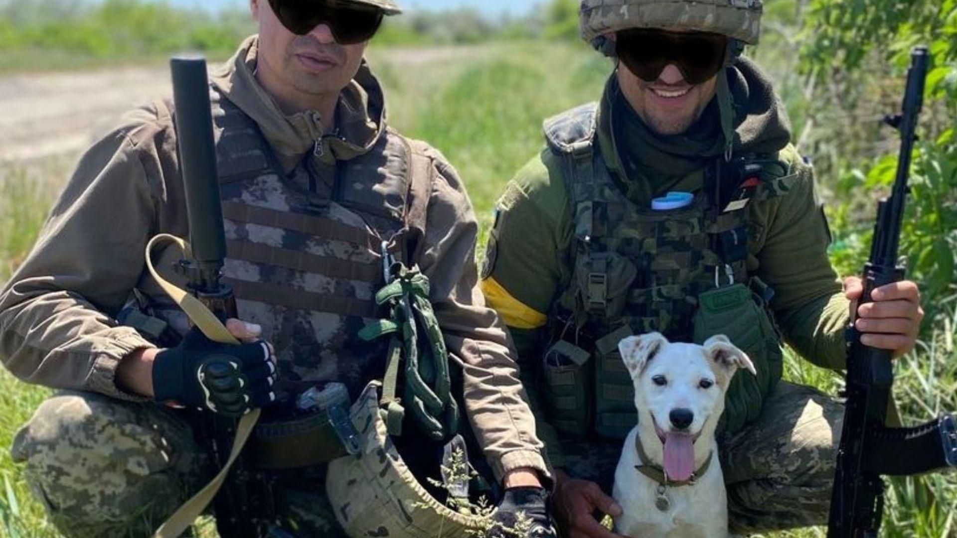 Дає знак за 3 – 5 хвилин до атаки: з тероборонівцями у гарячій точці служить собачка Білка