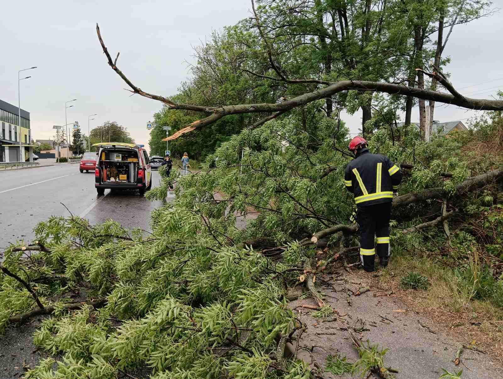 В Винницкой области из-за ураганного ветра падали деревья