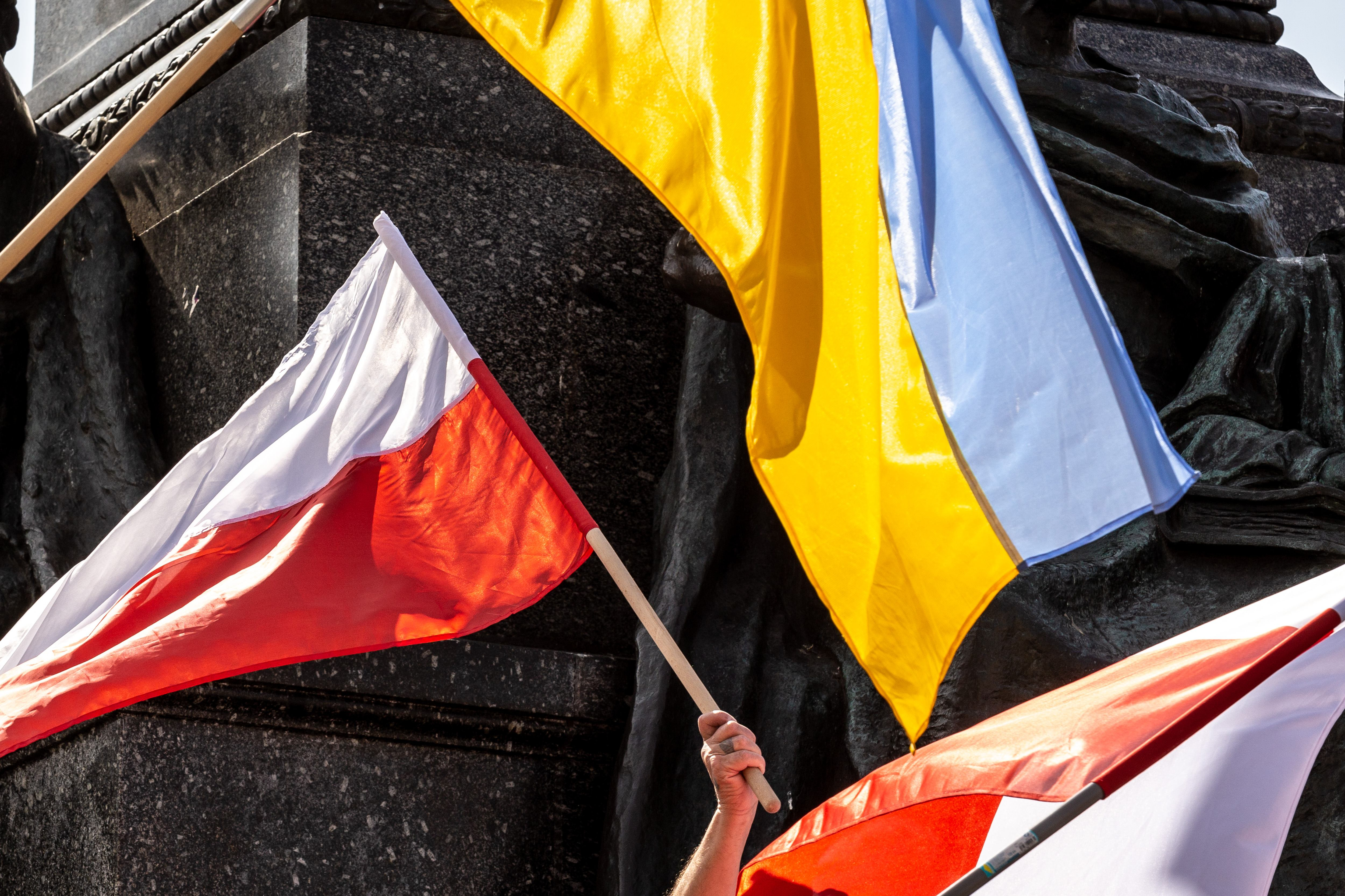 У Польщі є свій інтерес у цьому, – польський науковець про вступ України в ЄС У Польщі є свій інтерес у цьому, – польський науковець про вступ України в ЄС