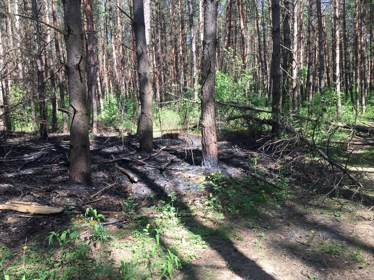Обстрел пограничных районов на Сумщине: ракеты выпускали из самолетов по Гудово и Шалыгино Обстрел пограничных районов на Сумщине: ракеты выпускали из самолетов по Гудово и Шалыгино