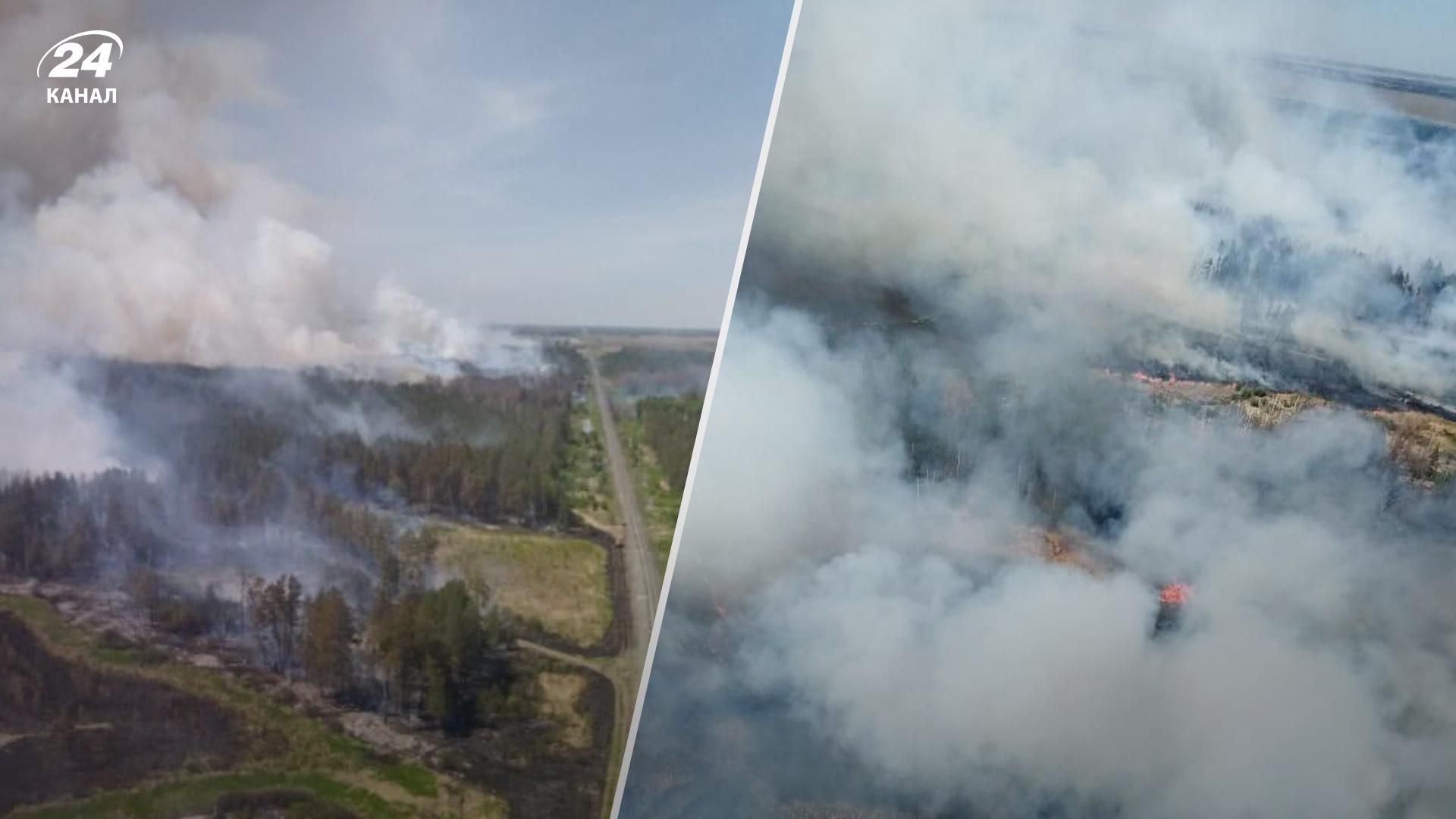 У Росії знову масштабні лісові пожежі, а в Бєлгородській області – традиційна "бавовна" У Росії знову масштабні лісові пожежі, а в Бєлгородській області – традиційна "бавовна"