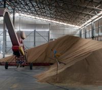 Туреччина домовляється з Росією та Україною про коридор для експорту зерна, – ЗМІ