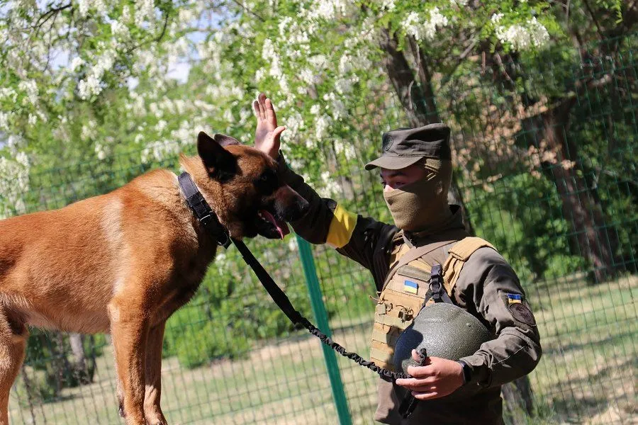 Собака Макс Собака Макс