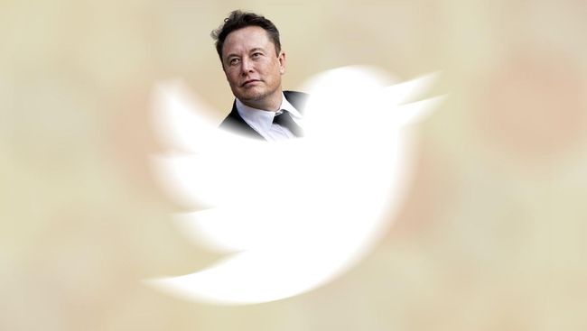 Хаос і маніпуляція: інвестори Twitter подали до суду на Ілона Маска