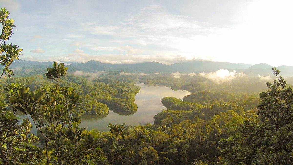У джунглях Болівії знайшли сліди древньої цивілізації - Техно У джунглях Болівії знайшли сліди древньої цивілізації - Техно