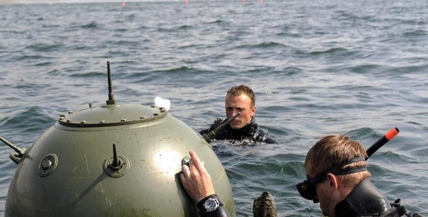 Россия "начудила" в Черном море и заставляет Украину разминировать, – Братчук