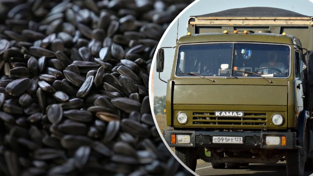 Російські військові вантажівками вивозять врожай з окупованої громади на Харківщині
