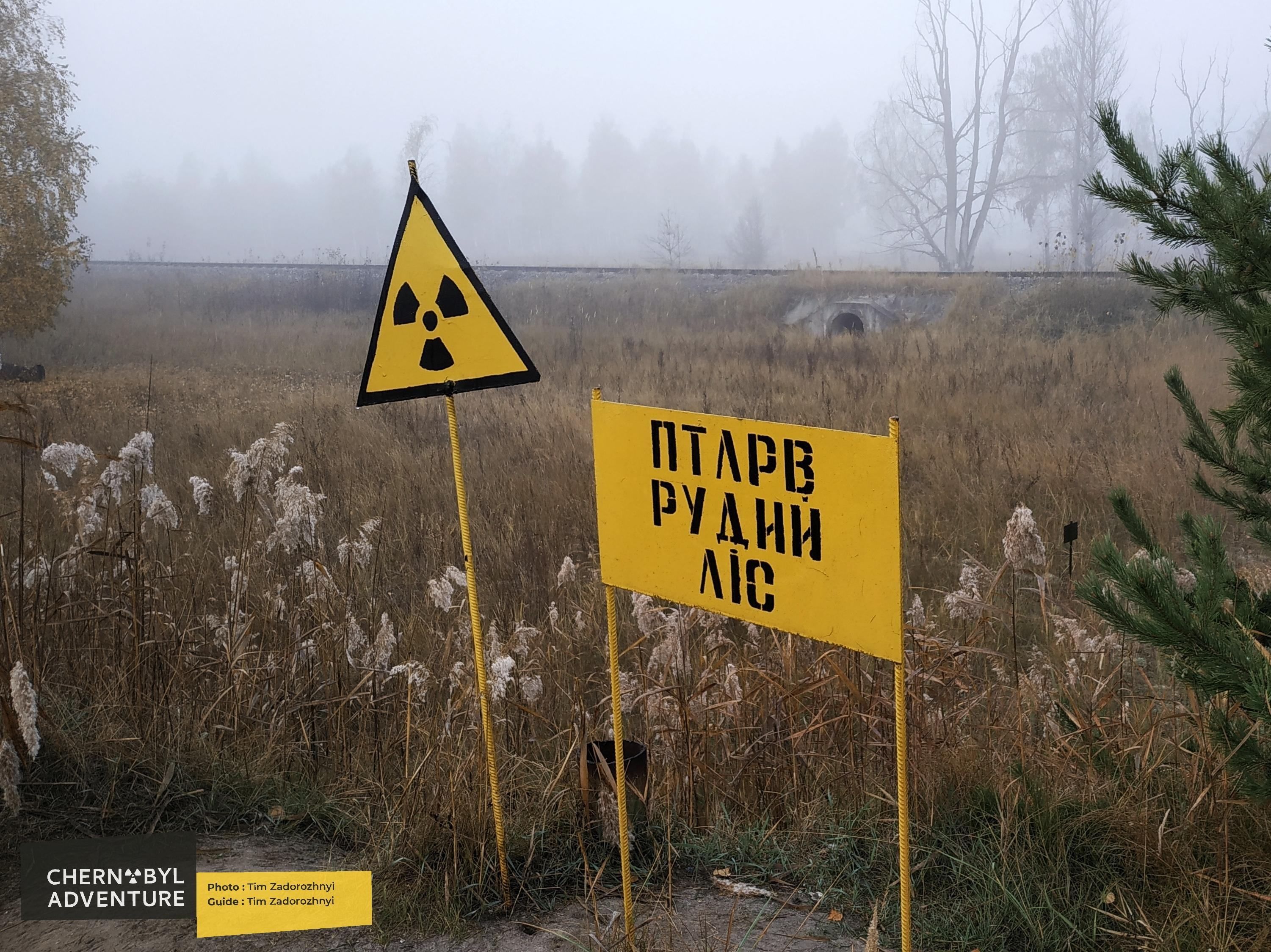 Дикі тварини в Зоні відчуження регулярно підриваються на мінах і розтяжках