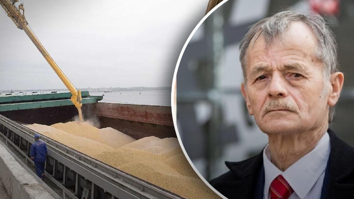 Турции передали список российских кораблей, которые вывозят украинскую пшеницу Турции передали список российских кораблей, которые вывозят украинскую пшеницу