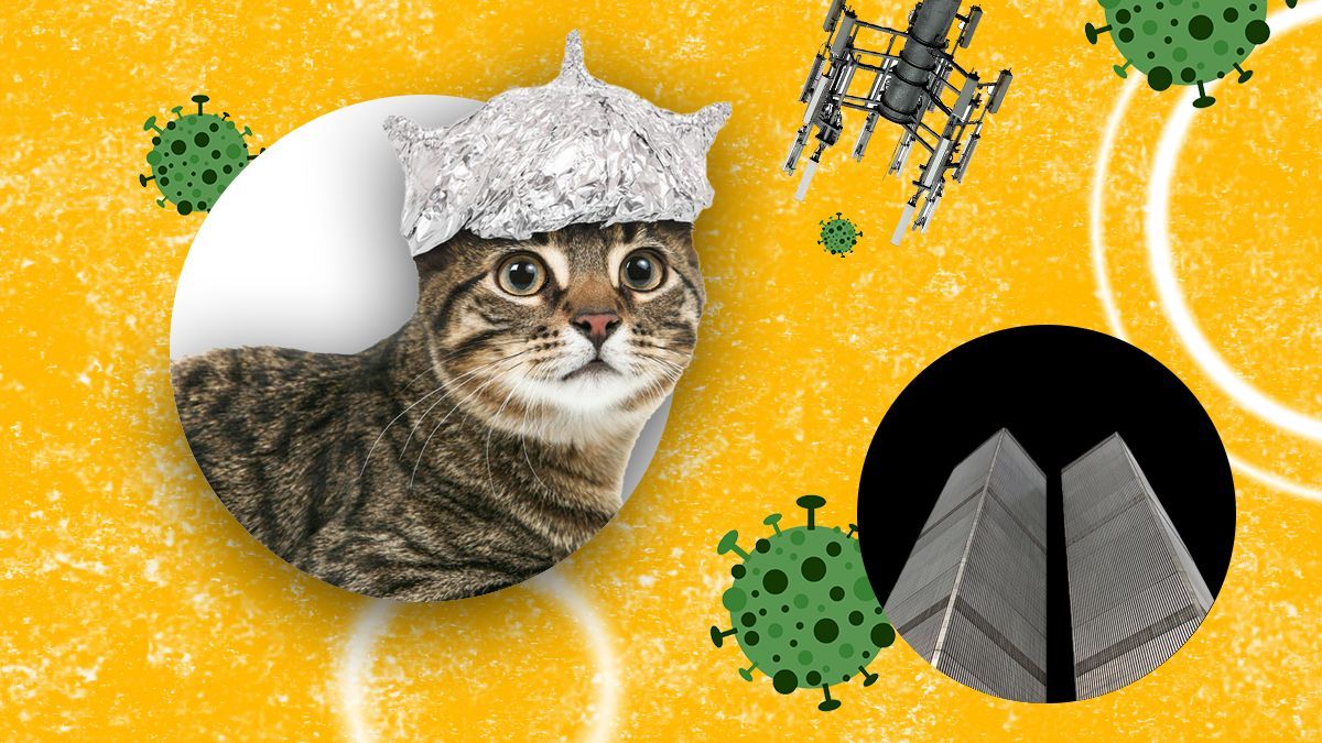 Люди больше склонны верить популярной лжи, чем менее распространенной правде, – исследование - Техно Люди больше склонны верить популярной лжи, чем менее распространенной правде, – исследование - Техно