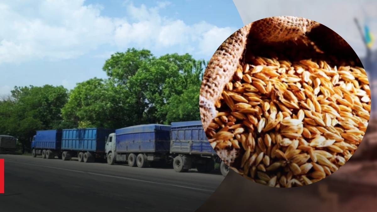Россияне массово вывозят украденное украинское зерно в оккупированный Крым: фото колонны грузовиков