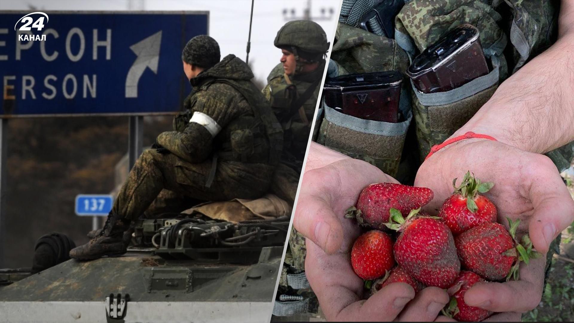 Пропонують за послуги 50 гривень: окупанти на Херсонщині наймаються на збір полуниці Пропонують за послуги 50 гривень: окупанти на Херсонщині наймаються на збір полуниці