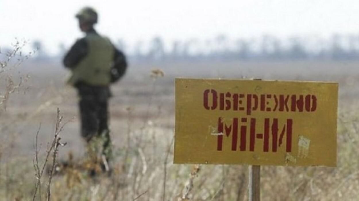 Более 30 миллионов гектаров территории Украины нуждаются в разминировании, – МВД