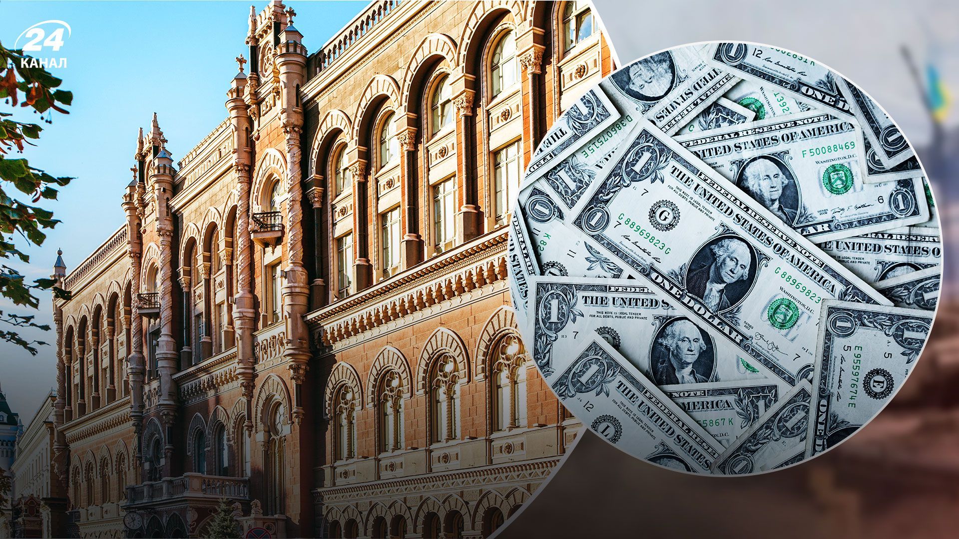 В НБУ відповіли, чи "відпустять" офіційний курс долара В НБУ відповіли, чи "відпустять" офіційний курс долара