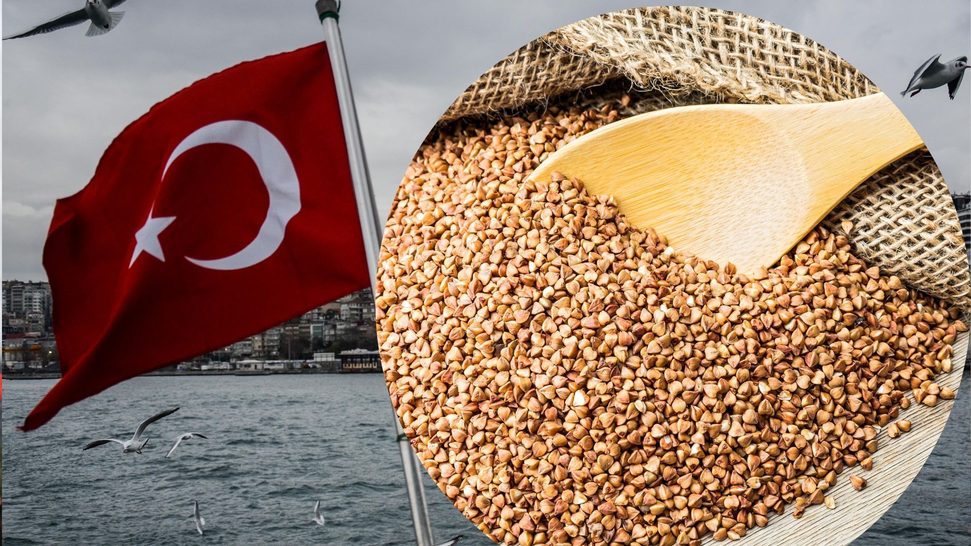 Турция также покупает украинское зерно, которое украла Россия, – посол