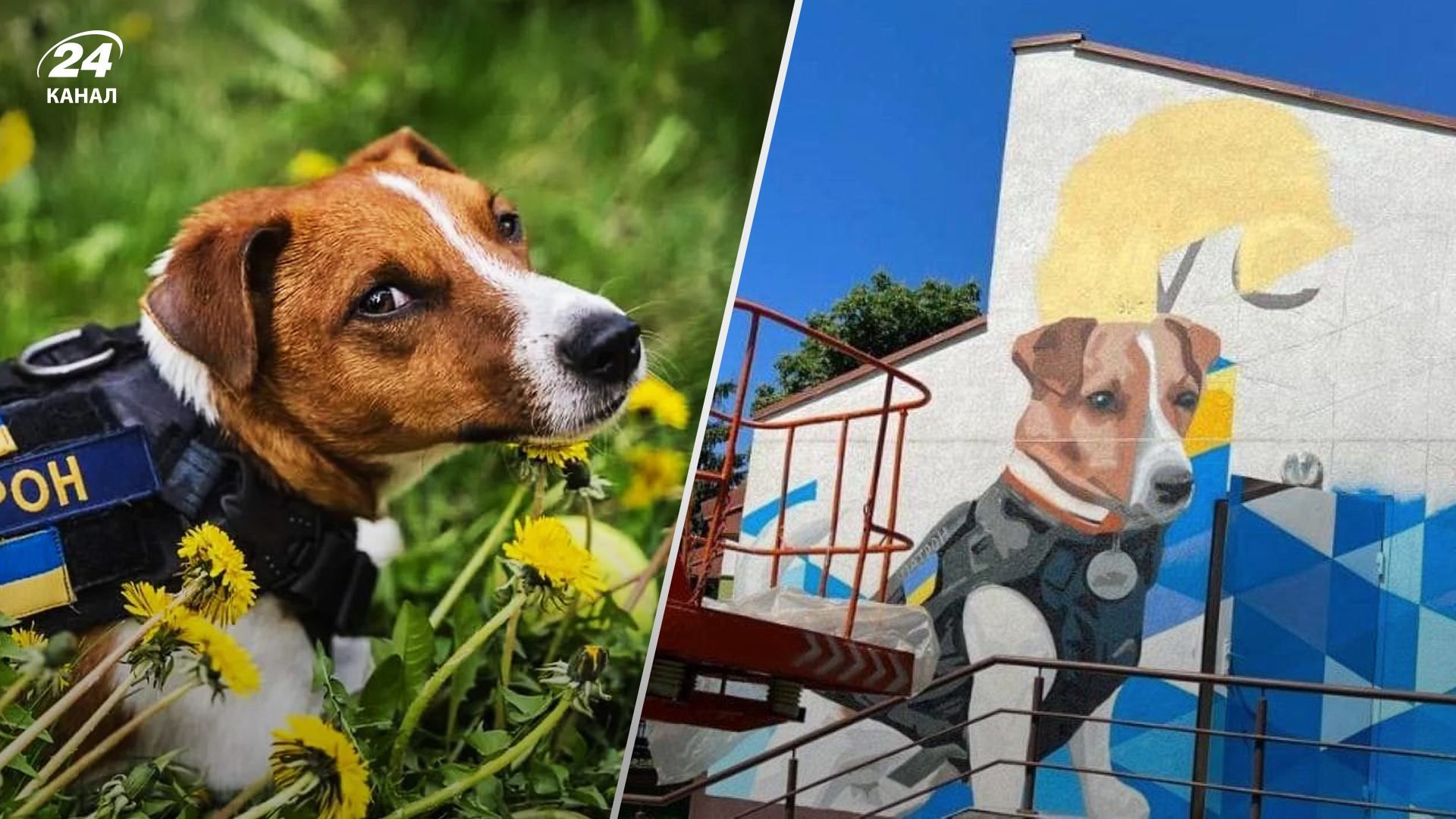 У Києві з'явився мурал із псом-сапером Патроном: перші фото