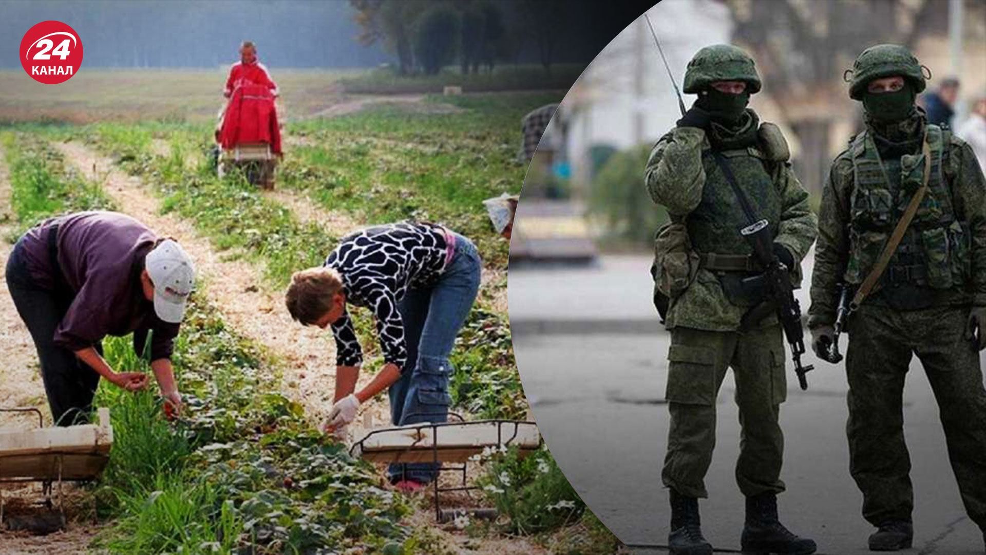 Пытки и похищения: в Херсонской области оккупанты угрожают фермерам Пытки и похищения: в Херсонской области оккупанты угрожают фермерам