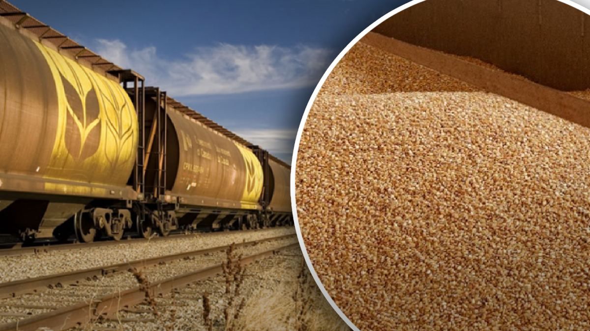 Оккупанты подтвердили кражу украинского зерна в Запорожской области Оккупанты подтвердили кражу украинского зерна в Запорожской области